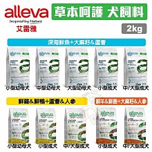 草帽中小型泰迪裝飾貓狗卡通寵物蜜蜂夏天新款網紅幼犬太陽帽帽子 G2XD 歷史價格詳細信息