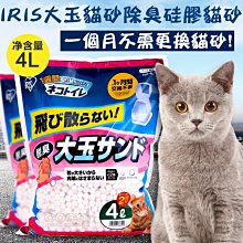 COCO《超取免運》鱉蛋爆毛養膚粉 (皮毛保健)180g犬貓鱉蛋粉 皮膚保健BLUE BAY 歷史價格詳細信息