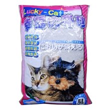 【幸福青鳥】專櫃精品防曬降溫小金傘/晴雨兩用口袋傘 歷史價格詳細信息