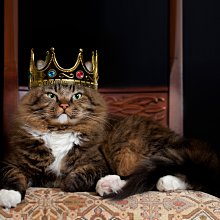 商品 差價 補下單賣場 歷史價格詳細信息