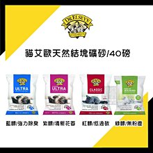 【免運】Dr.Douxi 朵璽 玻尿酸保濕精華液5ml+極光微導淨潤洗面乳100ml H精華 水炸彈  官方旗艦店 歷史價格詳細信息