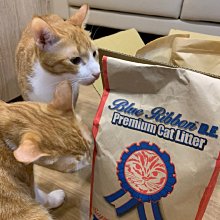 藍帶高級狗飼料 3kg _  愛心飼料 中小型犬 台灣土狗 米克斯 買回家餵浪浪最方便 歷史價格詳細信息