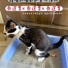 宅配免運費-出色愛犬食品-牛肉15kg。出色狗飼料、福壽狗飼料【F1P200-2】 歷史價格詳細信息