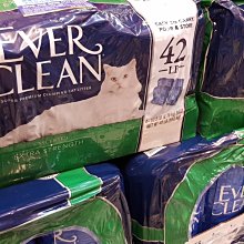 《藍鑽 EVER CLEAN》 低過敏抗菌結塊貓砂（紅標）25lb 歷史價格詳細信息