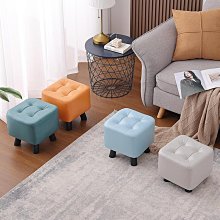 皮凳子 換鞋凳 家用門口穿鞋凳 進門玄關鞋凳可坐 收納凳 現代簡約 歷史價格詳細信息