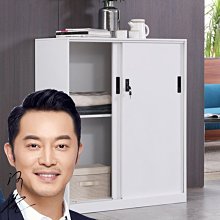 推拉資料文件櫃鐵皮櫃 對開門櫃 鐵皮文件櫃 檔案儲物辦公櫃 歷史價格詳細信息