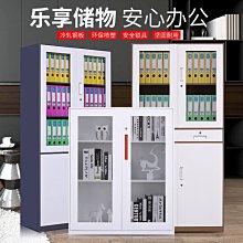 憑證柜文件柜財務資料檔案柜辦公室置物柜鐵皮柜儲物柜會計收納柜~告白氣球 歷史價格詳細信息