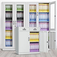 辦公室書柜文件柜鐵皮資料檔案柜玻璃門簡約憑證雙門柜落地帶  露天市集  全台最大的網路購物市集 歷史價格詳細信息