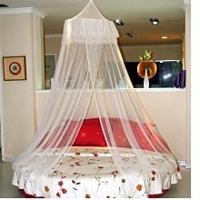 【浪漫柔順組】DREAM TREND 凱夢 果酸極致修護精華 + 金色陶瓷 加長型電棒 歷史價格詳細信息