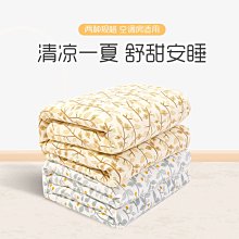 涼被 四季款冬被春秋空調被子夏涼被芯夏季薄款幼兒園兒童棉被可機洗 快速發貨 價格比較,價格查詢,歷史價格詳細信息
