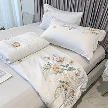 冰絲夏涼被雙人夏季可水洗天絲夏被單人兒童春秋薄款空調被子夏天-雙喜生活館 歷史價格詳細信息