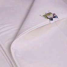 夏季新款✨夏被 夏涼被 夏季空調被 可機洗薄被芯雙人單人宿捨學生兒童被子褥子 超薄透氣夏季被子 空調被-599免運 歷史價格詳細信息