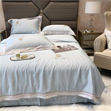 冰絲夏涼被雙人夏季可水洗天絲夏被單人兒童春秋薄款空調被子夏天-雙喜生活館 歷史價格詳細信息