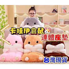 現貨 倉鼠天然木橋樓梯小動物梯子攀爬懸浮木原木刺猬白骨木刺斑刺毛刺針刺毛刺毛刺毛刺毛器小工具-可開發票 歷史價格詳細信息
