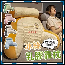 多功能天絲乳膠枕(完美支撐/可水洗)[艾拉寢飾][滿額免運] 歷史價格詳細信息