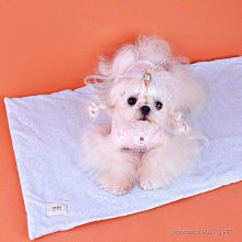 寵物睡墊 可愛圖案小墊子 雙面睡墊 狗狗睡墊 貓咪睡墊 小動物睡墊 【幸運貓】 歷史價格詳細信息