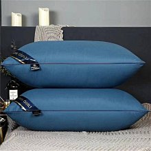 【Hilton希爾頓】五星酒店VIP專用室內超防滑拖鞋(S0002-)黑色/拖鞋/灰色/兩色任選/防滑/ 歷史價格詳細信息