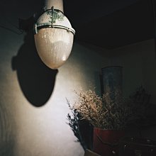 【Ori-Genic 元易生技】極致專注記憶果凍20條/盒(DHA.BF7.機能果凍.DHA凍.抹茶凍) 歷史價格詳細信息