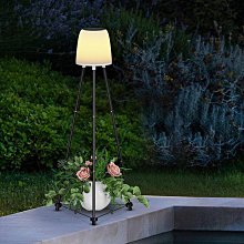 €小歐坊 新品下殺~祈福紫水晶/水晶簇/原礦石/招財幸運物/求好運礦石/聚財聚氣能量石/天然採礦 LUCKY-007 歷史價格詳細信息