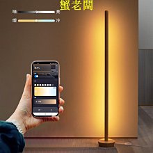 落地燈 氣氛燈 氛圍燈 裝飾燈 房間氣氛燈 立燈落地燈 電競燈 墻角燈 歷史價格詳細信息