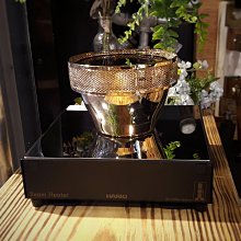 【日本HARIO】咖啡色冷泡咖啡壺-共2款《泡泡生活》 冷泡壺 咖啡 歷史價格詳細信息