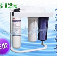 H300 濾心 (含稅) 濱特 愛惠 EVERPURE 美國原廠 平輸 水貨 濾芯 ※下標前請先參考賣家關於我 歷史價格詳細信息