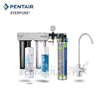愛惠浦 EVERPURE PURVIVE-4C2生飲級單道式廚下型淨水器 歷史價格詳細信息