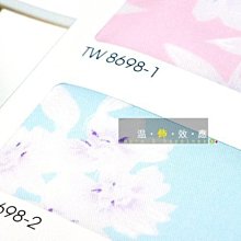 促銷79元【台灣製 扣環可調式】行李箱束帶/行李帶/綁帶 旅行箱束帶《兩色選擇1入裝》 歷史價格詳細信息