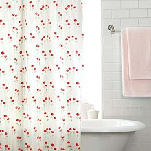 好用到哭泣everbab捲翹持久定型睫毛夾一飛沖天夾睫毛器 歷史價格詳細信息