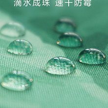浴簾 綠色葉脈浴簾 180X180CM 台灣現貨 隔間用簾 底部加鉛加重 附12個加粗掛勾【BA211】 歷史價格詳細信息