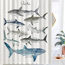 現貨鯨魚娃娃玩具藍鯨娃娃噴水鯨魚娃娃60cm 歷史價格詳細信息