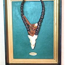 BRAYDEN SCHENN SIGNED AHL PUCK RARE 1936-2011 75-YEAR SEASON SHER-WOOD - 歷史價格詳細信息