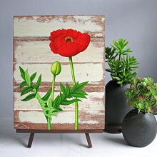 【ZEN CASA】老柚木雕刻佛手蓮花手*禪風擺飾收藏品 歷史價格詳細信息