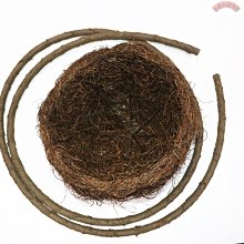 【熱賣精選】仿真椰子樹皮園林造景假樹墻面裝飾海邊裝飾室外硅膠椰子樹皮批發 歷史價格詳細信息