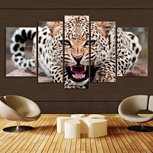 （可開發票）無下軌 櫃折疊門五金配件兩折四門 帽間推拉移門吊滑吊輪滑軌道 歷史價格詳細信息