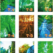 新品國畫山水畫風水壁畫仿古字畫書法客廳名人書法 少將一套14張 歷史價格詳細信息