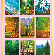 新品國畫山水畫風水壁畫仿古字畫書法客廳名人書法 少將一套14張 歷史價格詳細信息