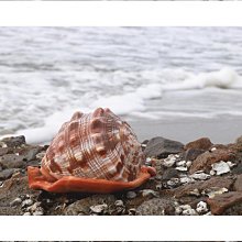 6BUJ國畫裝裱畫框外框實木紋鋁合金相框書法宣紙卡紙新中式裝裱可 歷史價格詳細信息