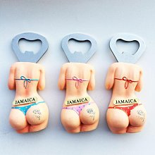 創意磁性冰箱貼 加拿大觀座頭鯨旅游紀念手工彩繪立體裝飾藝術品 歷史價格詳細信息