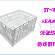 【千型】文豪野犬 大倉燁子 cos假發 虎口夾 頭皮頂【葡東COS】 歷史價格詳細信息