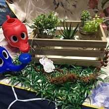 古典植物園 -- 傳統文化中的草木之美 歷史價格詳細信息