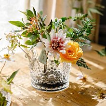 玻璃水果盤 輕奢風家用客廳茶几高腳果盤 網紅北歐ins風零食盤-滿599免運 歷史價格詳細信息