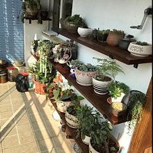 【現貨】置物架壁掛客廳牆面裝飾書架牆上臥室床頭隔板壁掛式易收納創意 歷史價格詳細信息