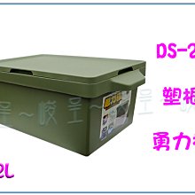 勇力旺 錠狀食品 30顆/盒 左旋精胺酸 馬卡 紅景天 南瓜籽 德國進口 全素可食 台灣公司貨》大墩藥局 歷史價格詳細信息