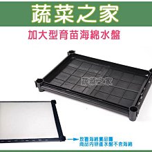 【滿額免運】宅男屋刀割破洞背心 暗黑系無袖t恤男寬鬆男生背心男 潮流純色汗衫打底坎肩吊嘎無袖背心運動背心男 xwe38 歷史價格詳細信息