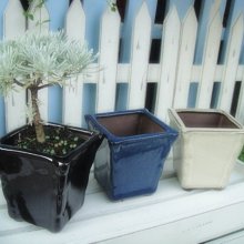 WISH  FOREST【 平價釉盆。AB10四方寛口3入】~經濟實惠~~多款小品栽培盆~養盆好用~ 歷史價格詳細信息