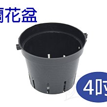 4吋花朵企鵝玩偶 絨毛娃娃 吊飾 歷史價格詳細信息