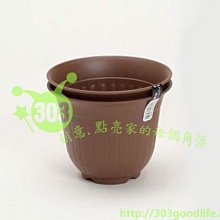 303生活雜貨館 小久保 KOKUBO  KK-300白 /  KK-301綠  長方瀝水盆 歷史價格詳細信息