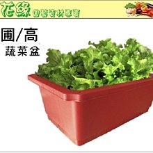 {綠花緣} 塑膠紅盆 - 3.5寸*10個 歷史價格詳細信息