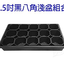 【超取免運超值組】三鳳科技《三鳳辣木精華膠囊禮盒-60粒/1盒 +三鳳辣木茶禮盒-2盒裝》【SGS無農藥檢出】 歷史價格詳細信息